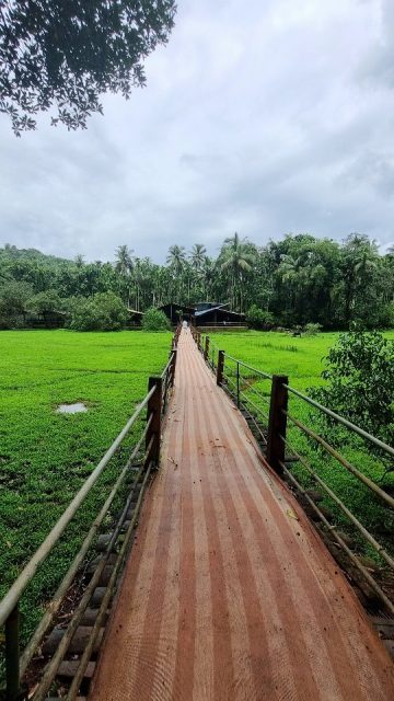 Spice Plantation in Goa.. for bookings call +91 95459 23708 
.
.
.
#spiceplantation #goadiaries #goatourism #vacation #escape #beachlife #adventure #trendingreels #goatrip