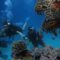 Scuba Diving in Goa Package – Best Prices & Unforgettable Experience